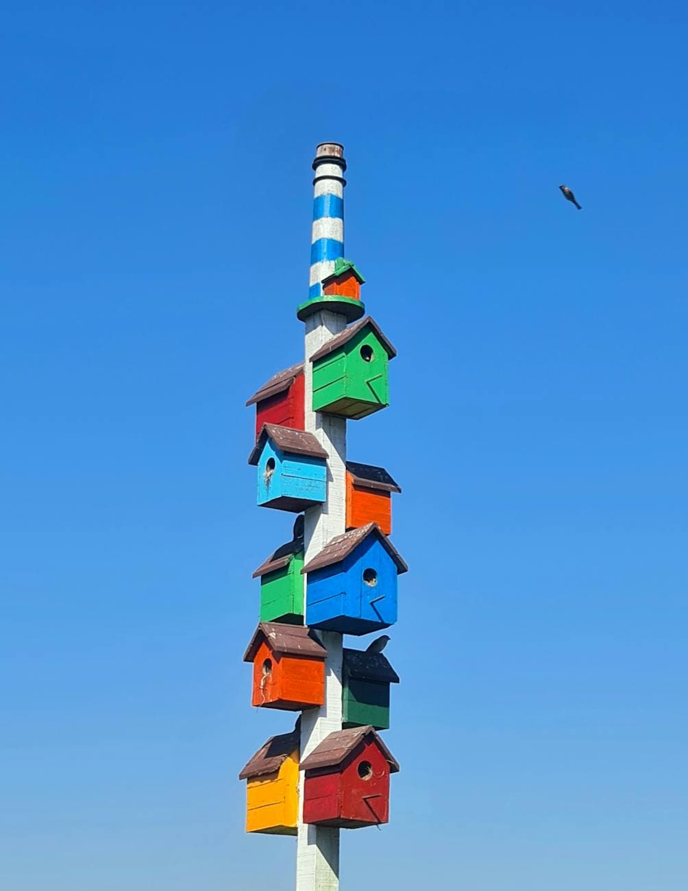 Notion business suite